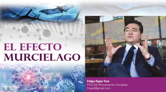 Felipe Rojas Toro Presidente Nodo de Garantías Comunitarias 