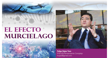 Felipe Rojas Toro Presidente Nodo de Garantías Comunitarias 